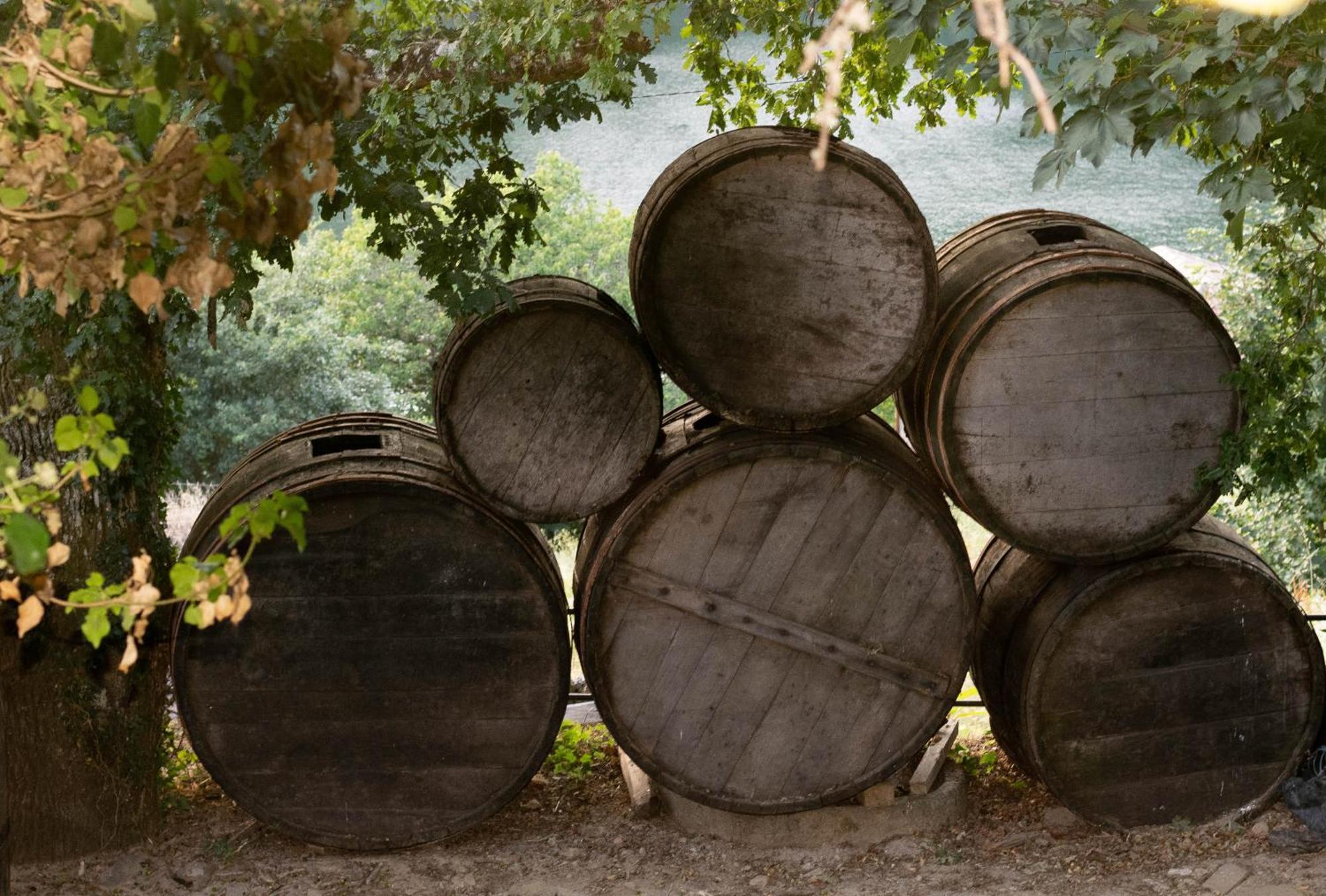 Pantón Ecolagar O Barqueiroヴィラ エクステリア 写真